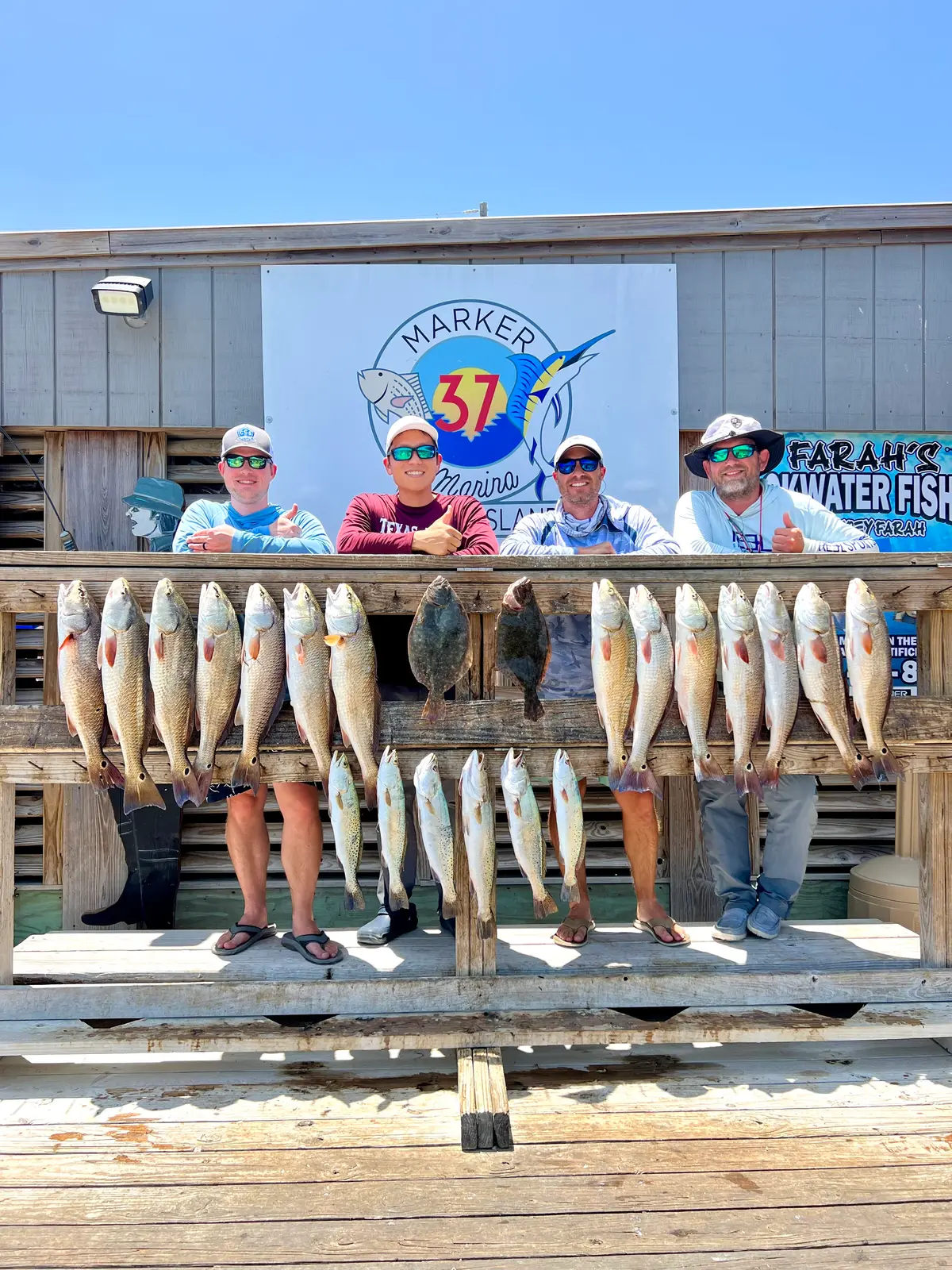 Limit Day at Marker 37