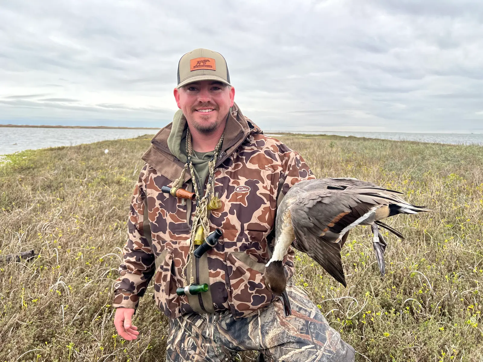 Pintail in the Field