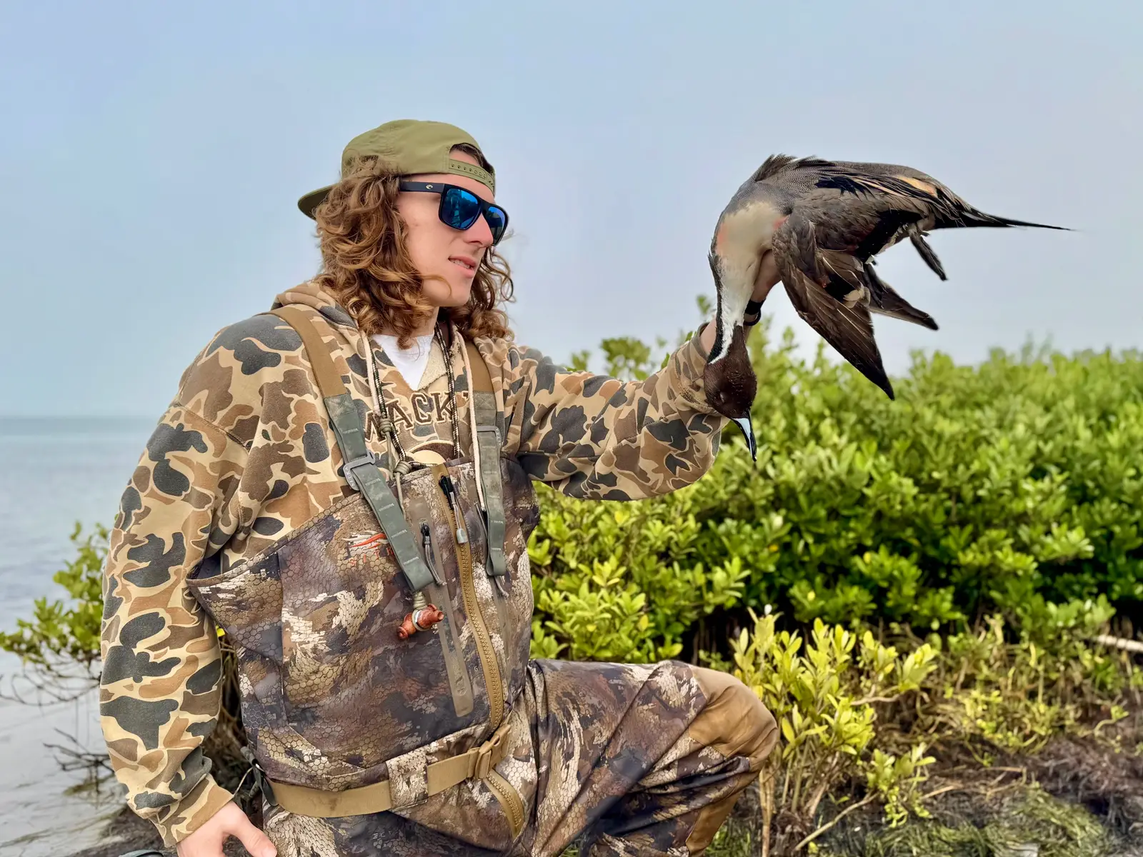 Bull Pintail